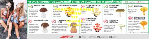 дурь Дмитровск