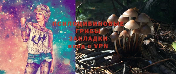 гашиш Дмитриев