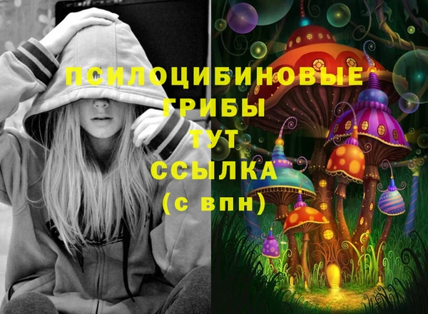 MDMA Premium VHQ Дмитров