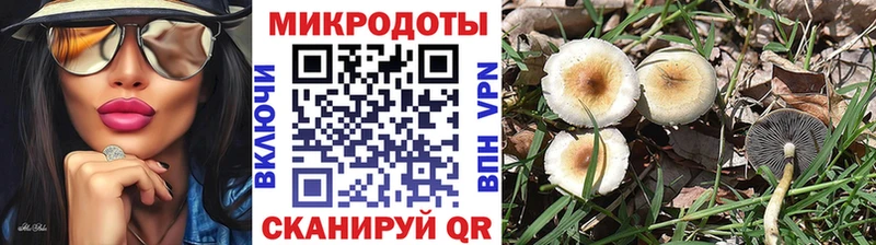 Псилоцибиновые грибы мицелий Асбест